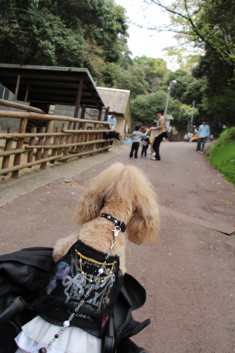 池田動物園