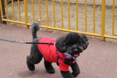 池田動物園