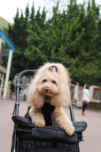 池田動物園