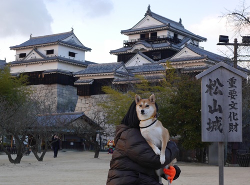 3松山城