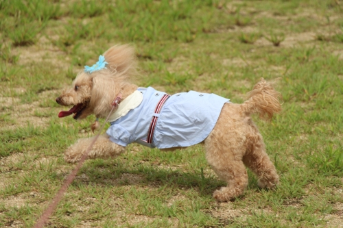 新西宮ヨットハーバー