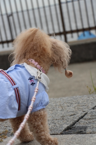 鳴尾浜臨海公園