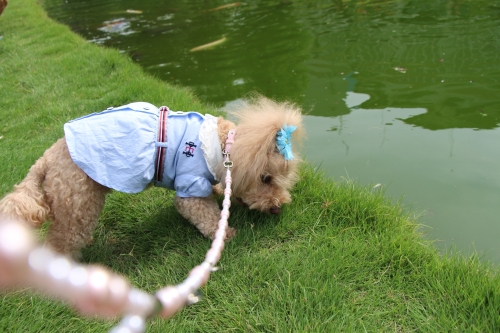 鳴尾浜臨海公園