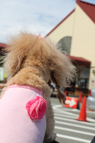 六甲山カンツリーハウス