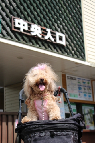 六甲山カンツリーハウス