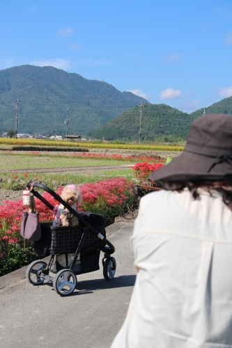 ひがん花の里