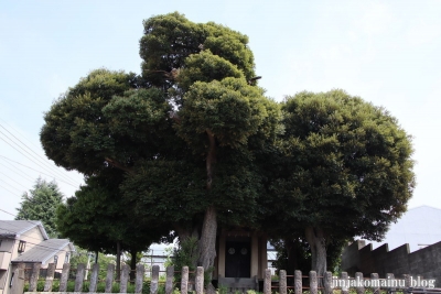 稲荷神社（板橋区小茂根)4