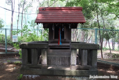 御嶽神社（板橋区桜川)49