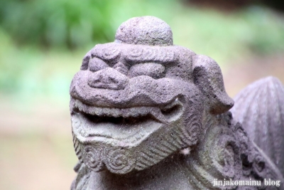 氷川神社（練馬区氷川台)36