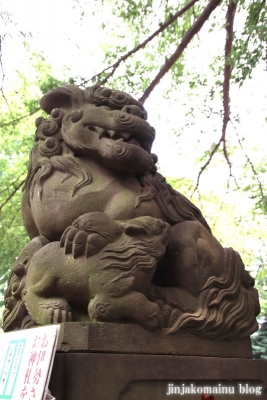 氷川神社（練馬区氷川台)8