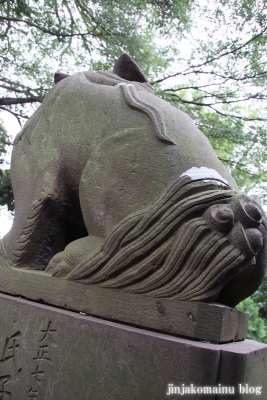 氷川神社（練馬区氷川台)14