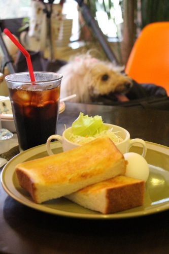 Dog Cafe PU