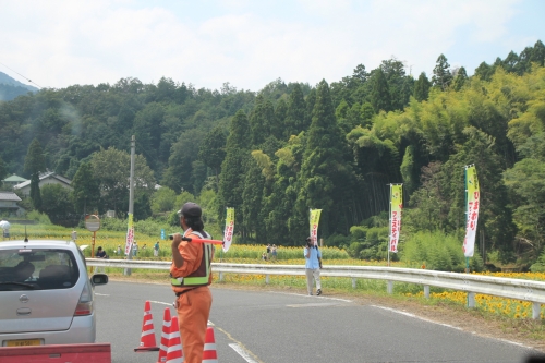 与謝野町ひまわりフェスティバル