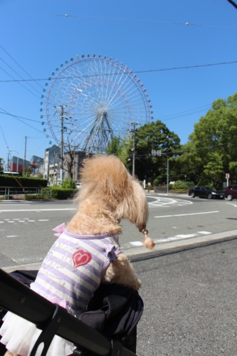 天保山公園