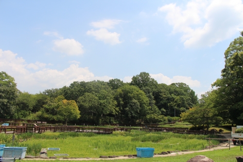 山田池公園