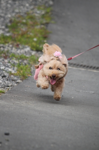 ちくさ高原ネイチャーランド