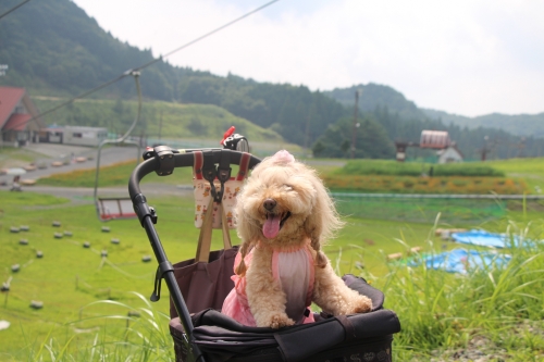 ちくさ高原ネイチャーランド