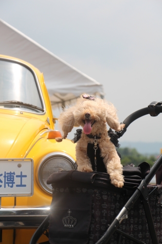 青山剛昌ふるさと館