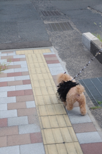 コナン通り