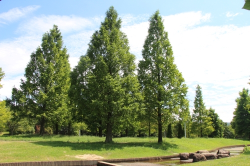 山田池公園