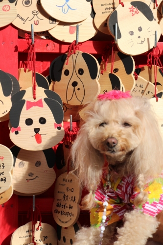 神祇大社