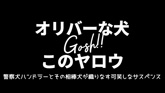 オリバーな犬、(Gosh!!)このヤロウ シーズン2