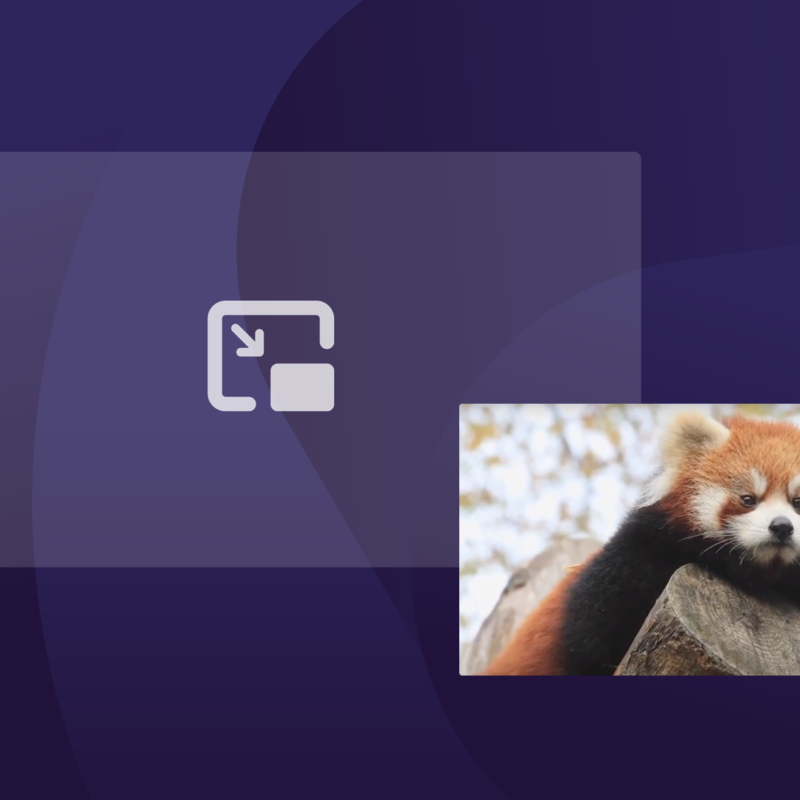 A red panda video displayed in Firefox's Picture-in-Picture mode, with the pop-out video icon visible in the corner.