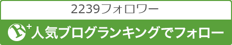 人気ブログランキングでフォロー