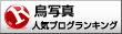 鳥ランキング