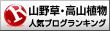 山野草・高山植物ランキング