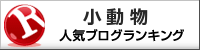 小動物ランキング