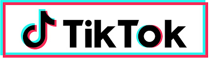 TikTok Icon