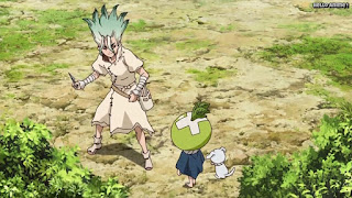 ドクターストーンアニメ 1期18話 千空 スイカ Dr. STONE Episode 18