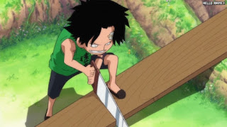 ワンピースアニメ 497話 エース 幼少期 | ONE PIECE Episode 497 ASL