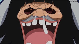 ワンピースアニメ ドレスローザ編 671話 トレーボル | ONE PIECE Episode 671