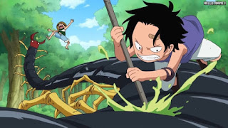 ワンピースアニメ 504話 幼少期 エース ルフィ かわいい ACE LUFFY | ONE PIECE Episode 504 ASL