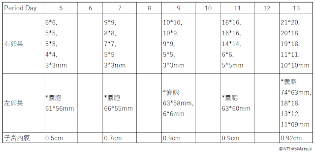 卵胞の成長速度