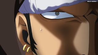 ワンピースアニメ ドレスローザ編 642話 トラファルガー・ロー かっこいい トラ男 Trafalgar Law | ONE PIECE Episode 642