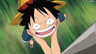 ワンピースアニメ 504話 幼少期 ルフィ かわいい Monkey D. Luffy | ONE PIECE Episode 504 ASL