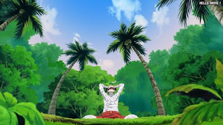 ワンピースアニメ 504話 ルフィ Monkey D. Luffy | ONE PIECE Episode 504