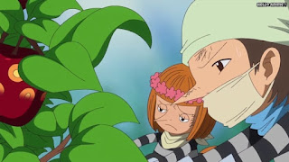 ワンピースアニメ ドレスローザ編 671話 小人族 奴隷 Dwarves トンタッタ Tontatta | ONE PIECE Episode 671