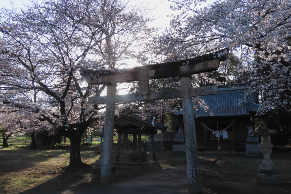 三嶋神社・下宮 04.01／春分 上州藤岡西平井