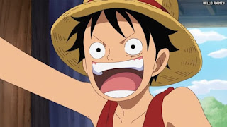 ワンピースアニメ 504話 ルフィ Monkey D. Luffy | ONE PIECE Episode 504