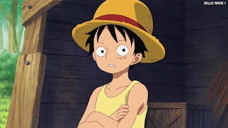 ワンピースアニメ 504話 ルフィ Monkey D. Luffy | ONE PIECE Episode 504