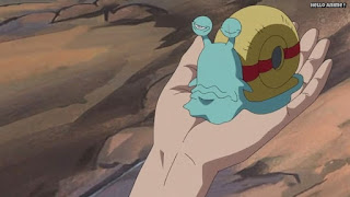 ワンピースアニメ ドレスローザ編 681話 電伝虫 | ONE PIECE Episode 681