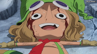 ワンピースアニメ ドレスローザ編 674話 レオ | ONE PIECE Episode 674