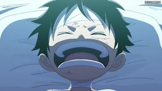 ワンピースアニメ 504話 幼少期 ルフィ Monkey D. Luffy | ONE PIECE Episode 504 ASL