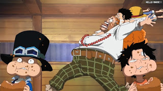 ワンピースアニメ 497話 幼少期 エース サボ ルフィ ACE LUFFY SABO | ONE PIECE Episode 497 ASL