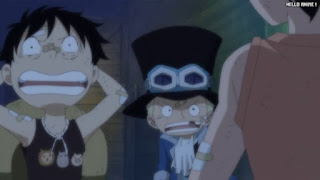 ワンピースアニメ 497話 幼少期 エース サボ ルフィ ACE LUFFY SABO | ONE PIECE Episode 497 ASL