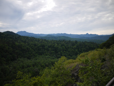 夕張岳（左奥の山塊）と三角形の1415m峰（右）